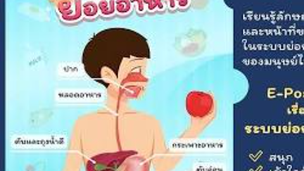 ร่างกายของเรา