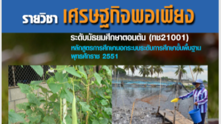 บทที่ 3 การวางแผนประกอบอาชีพแบบพอเพียง