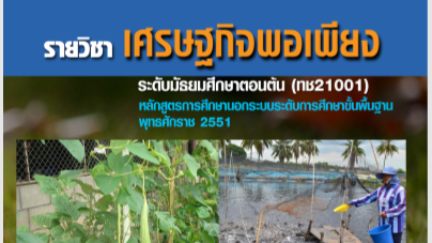 บทที่ 4 เครือข่ายดําเนินชีวิตแบบพอเพียง