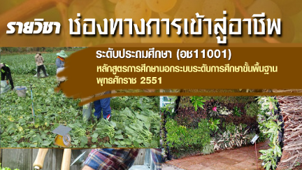 แบบทดสอบระหว่างภาค วิชาช่องทางการเข้าสู่อาชีพ